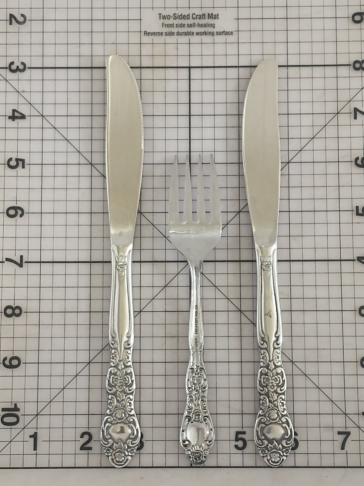 International Silver INS154 Stainless Knife & Salad Fork Rose