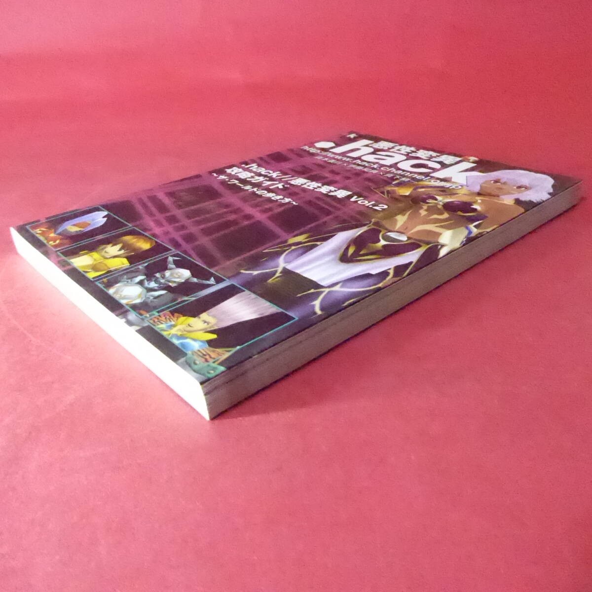 S4250605 Strategy Guide Vol 2