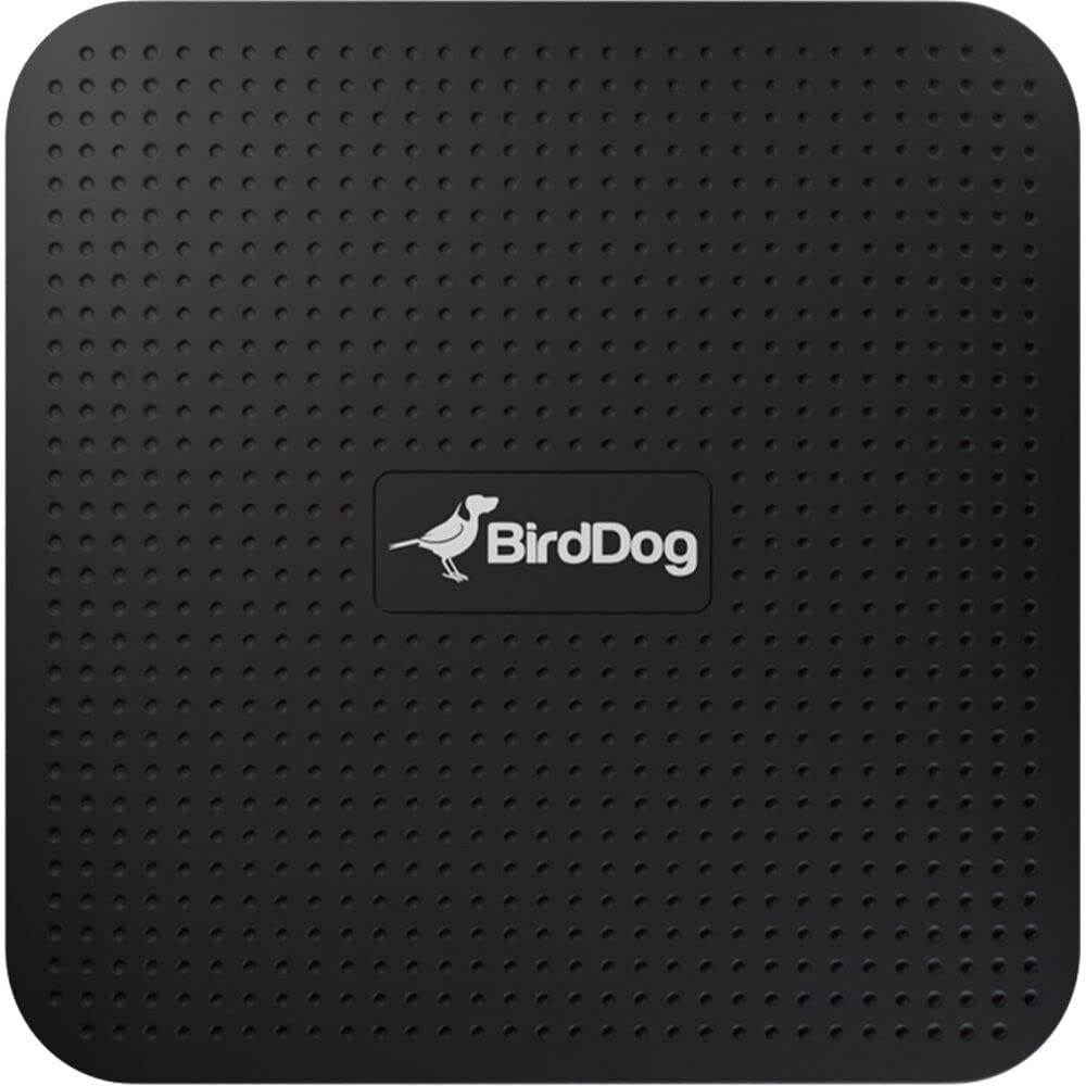 BIRDDOG Play 4K NDI Player.