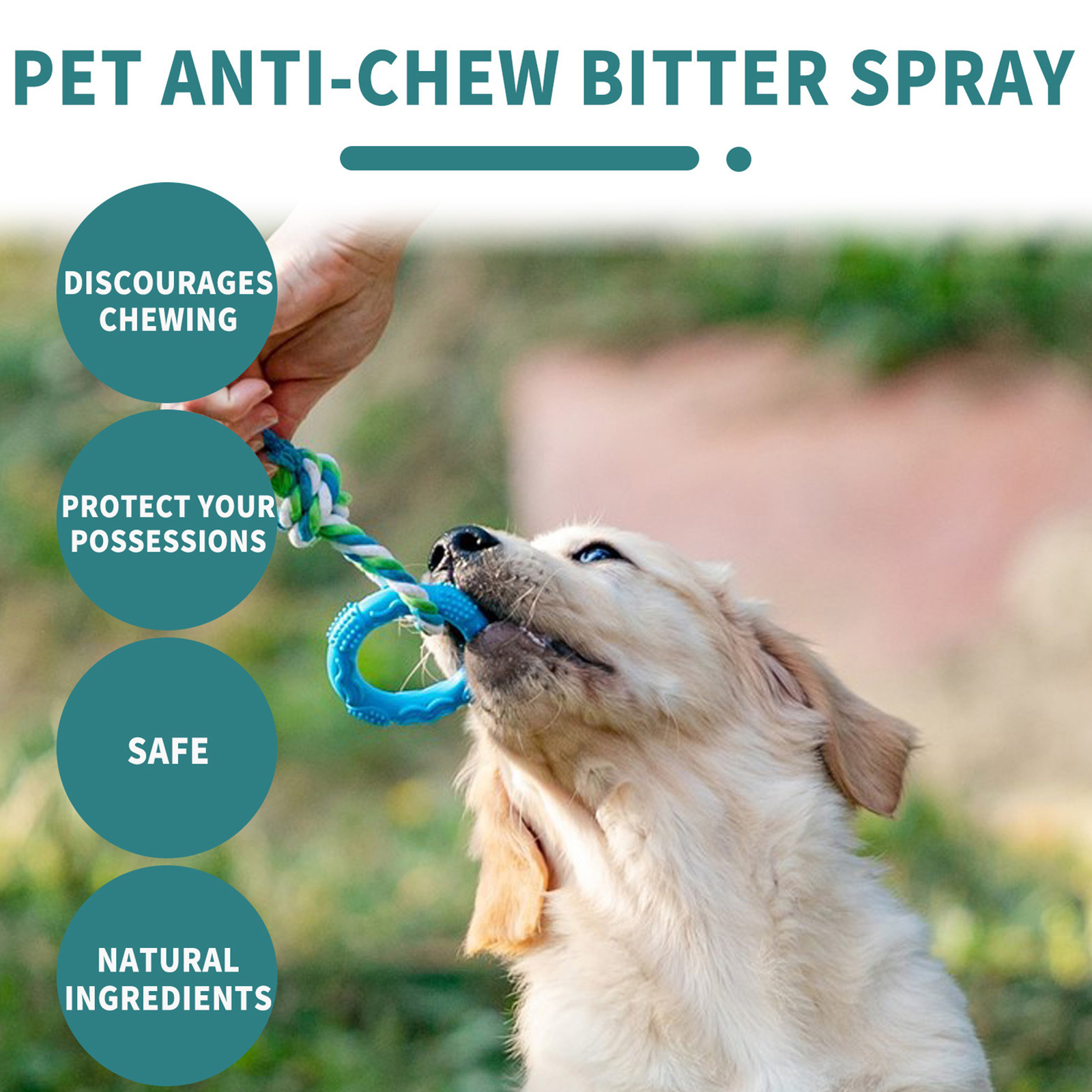 for Pet Stop Chewing Behavior Corrector Training Aid for Dog & Cat Bitter Spray