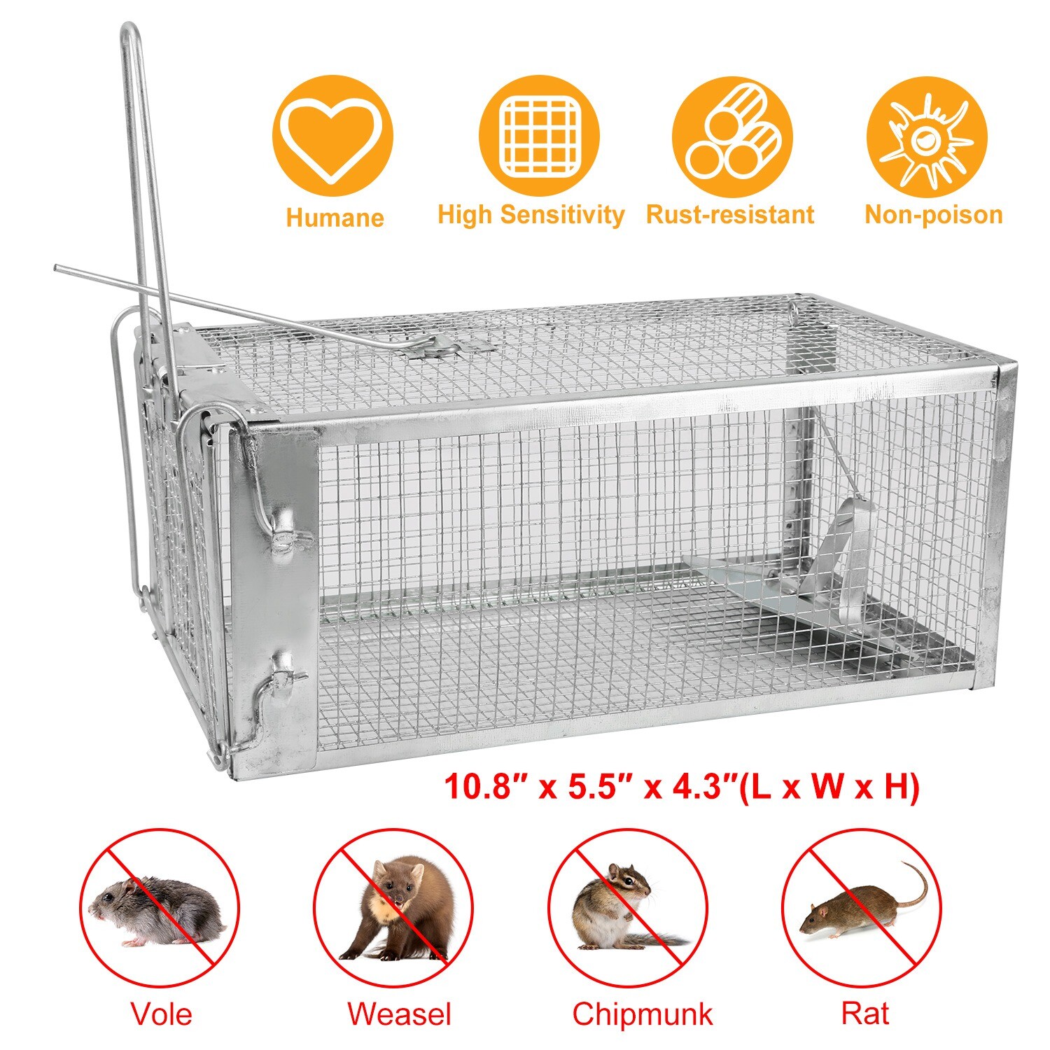 Large Live Humane Cage Trap for Squirrel Chipmunk Rat Mice Rodent Animal Catcher