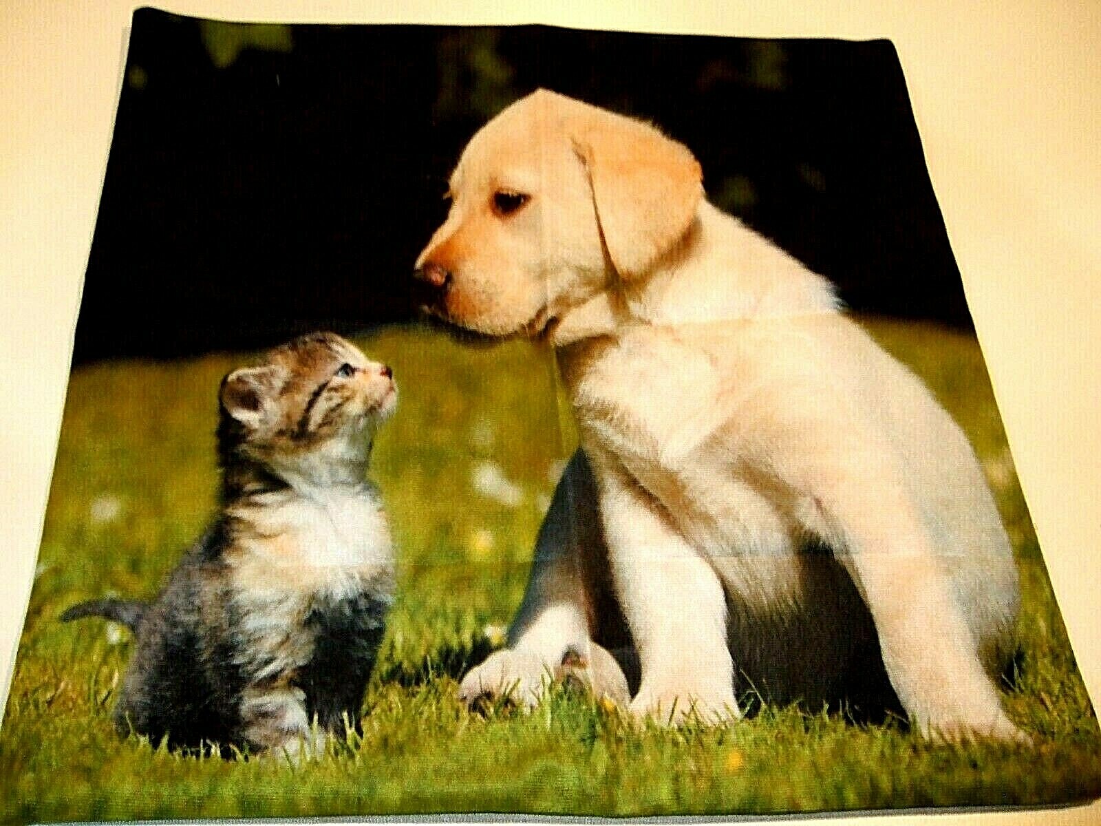 Square Puppy & Kitten Cotton Chenille Pillow Cover 17.5" x 17.5" NEW (#73)