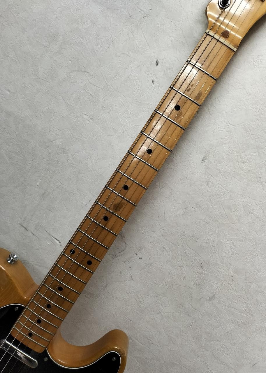 FENDER TL72-55 (NO251005)