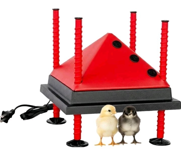 RentACoop 10x10 Inch Adjustable Heating Plate with Bonus Foldable Anti-Roost
