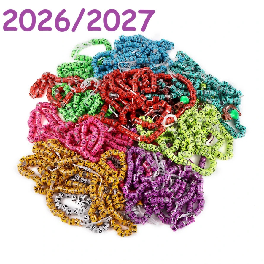 100pcs*8mm Bird Foot Ring For 2027 Racing Pigeon Rings Leg Bands ARPU Multicolor