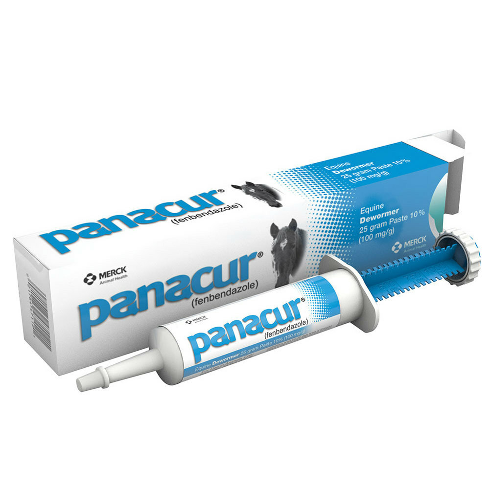 Panacur Equine Paste Horse Dewormer 25 grams