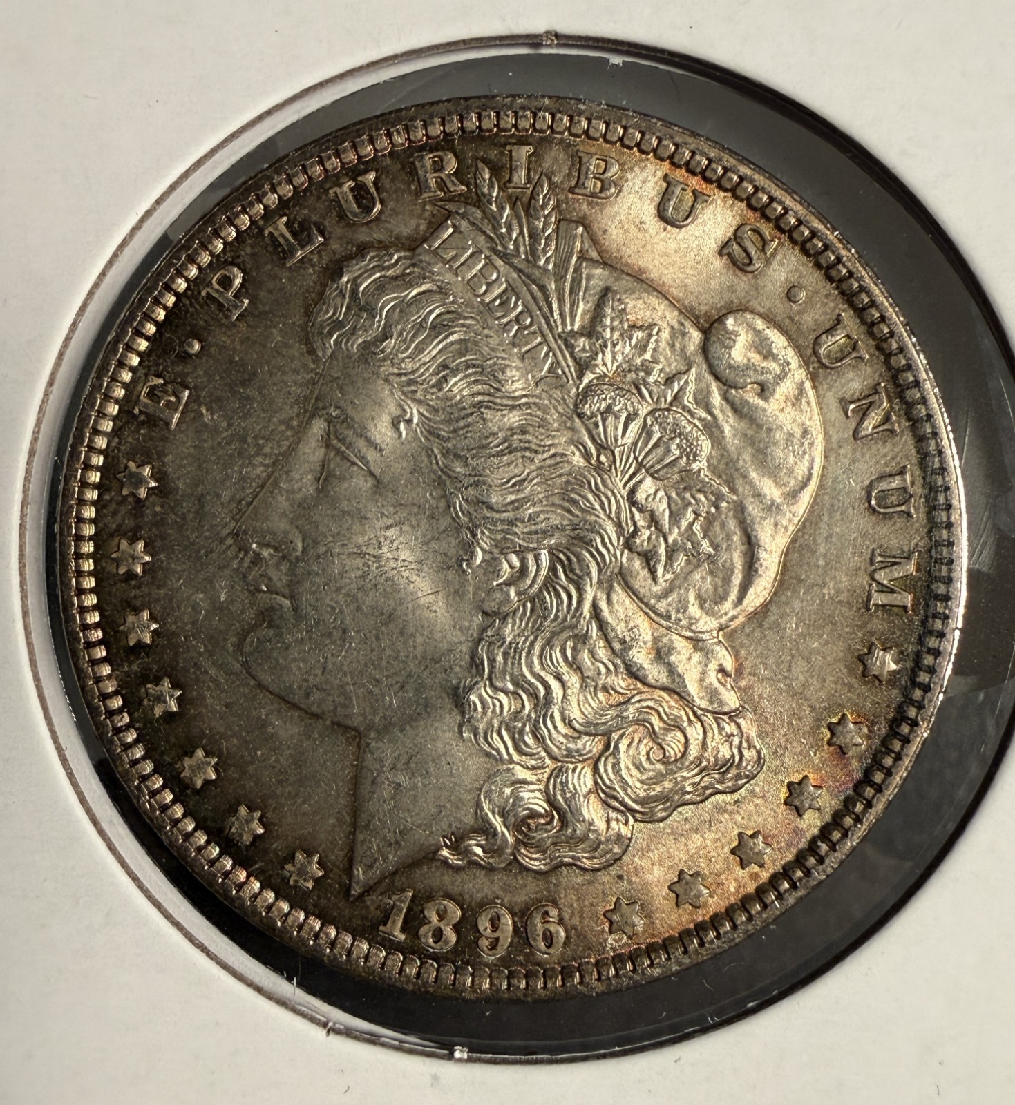 1896 Morgan Silver Dollar, MS + Toned (14282)