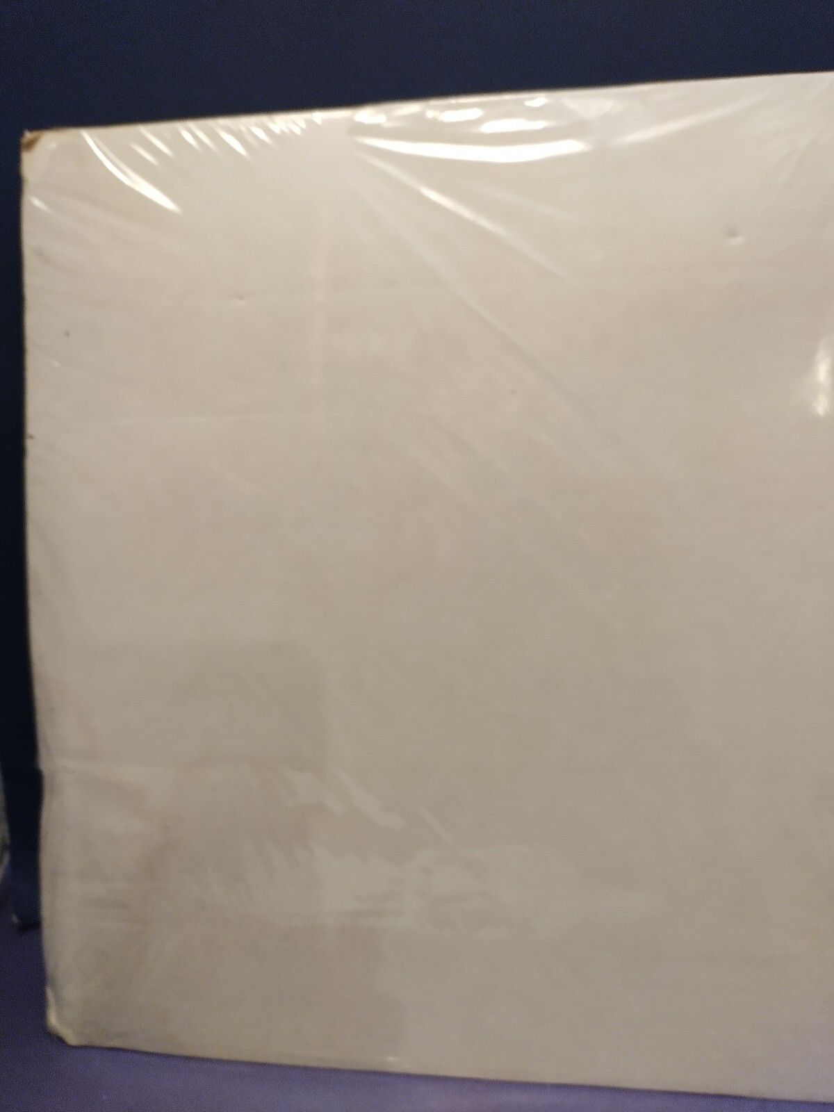Scaleograph Used For Photograph Scaling Scrapbook Creations Mechanical Drafting