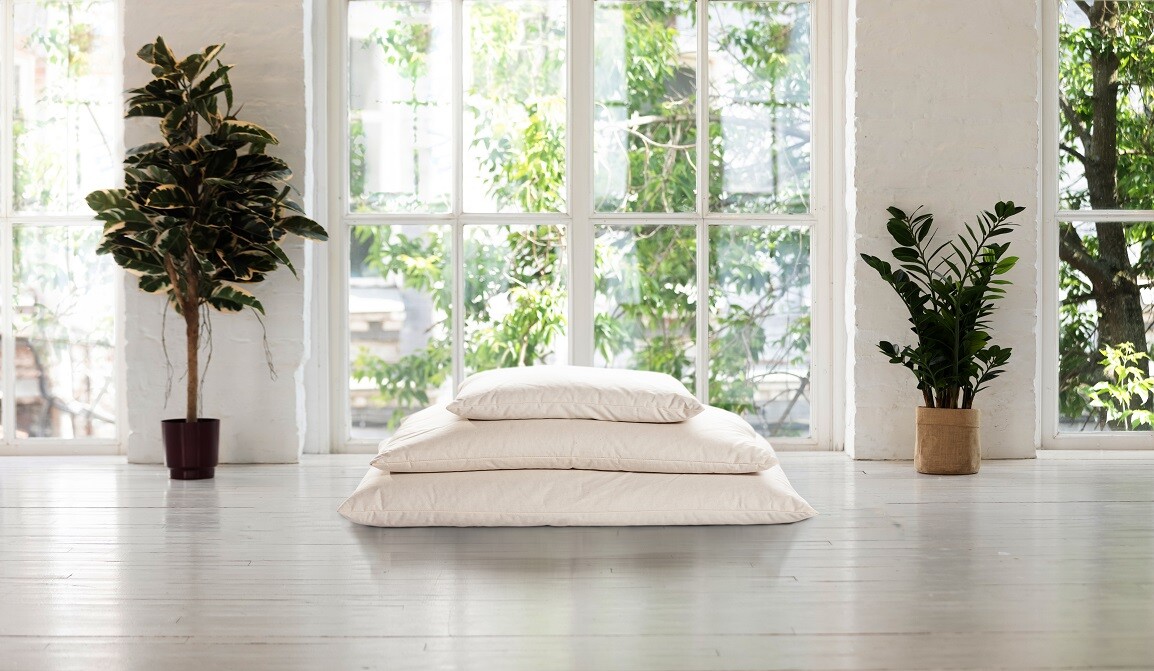 TWO Merino Wool filled Pillow & removable 100% Organic Cotton Cover Bed Pillows