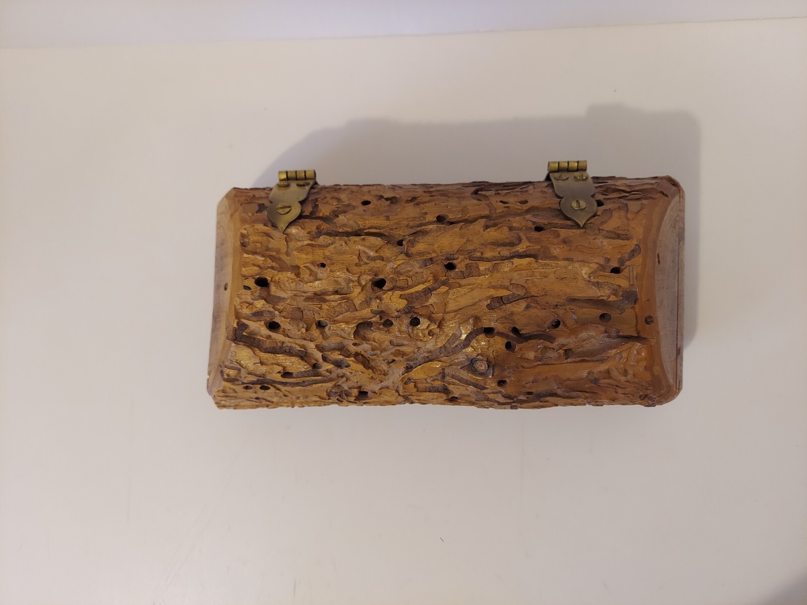 Unique Handmade Wormwood Trinket Box Hinged Lid