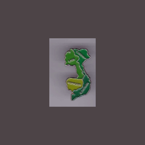 Vietnam Map + a custom promo pin