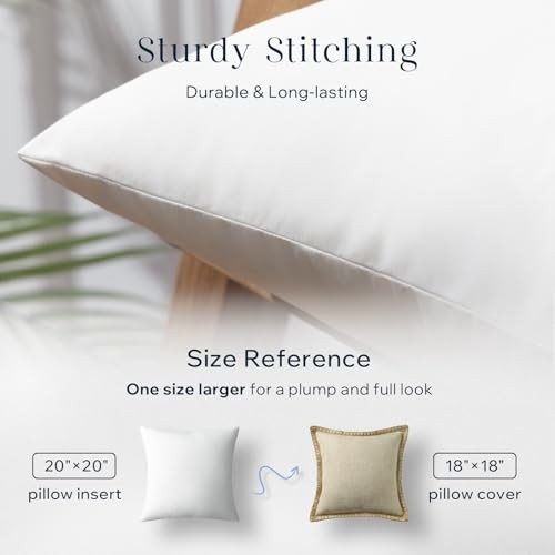 Feather Pillow Inserts, 100% Down Feather Throw 18" x 18" (Pack of 2) White