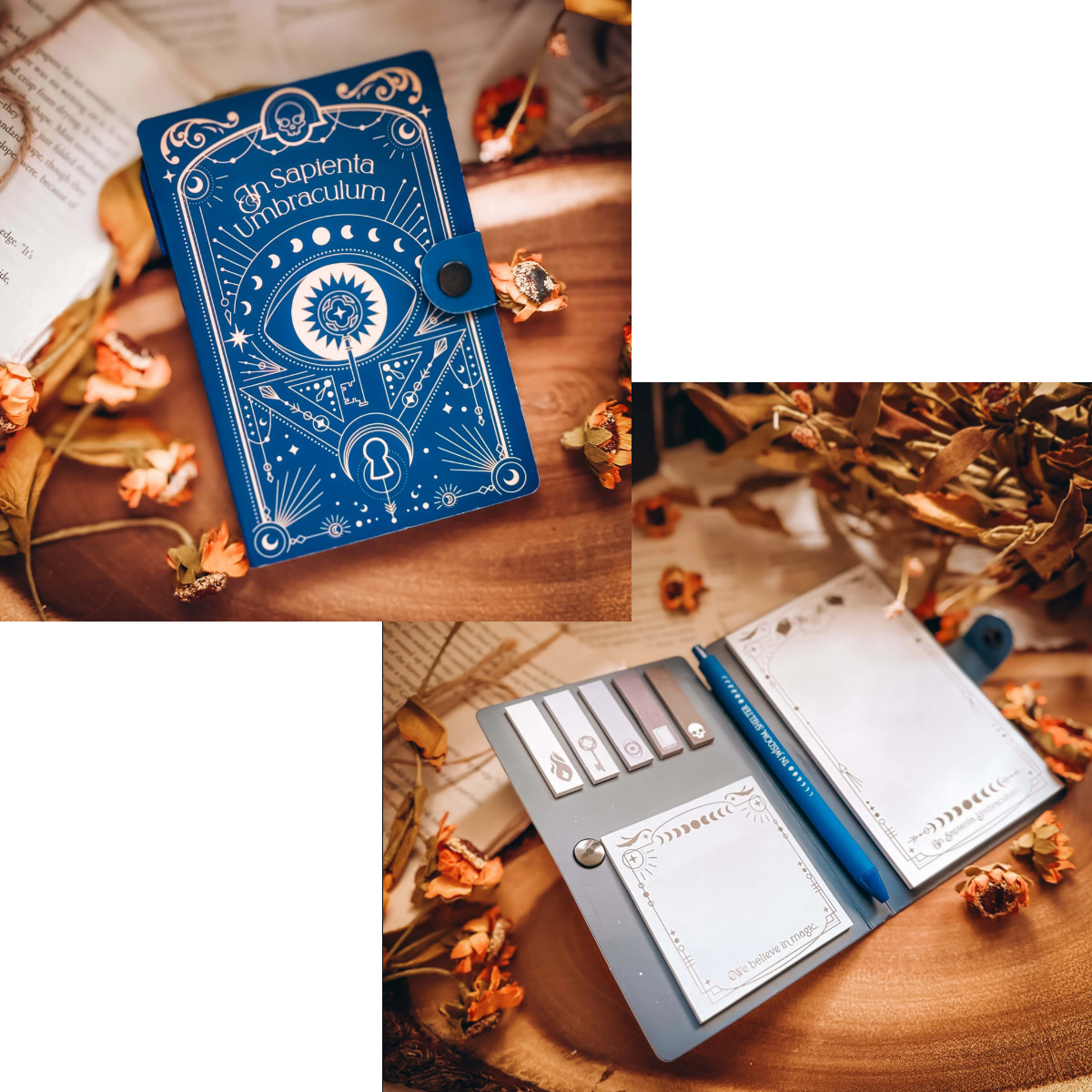 Owlcrate Scholomance Magically Gifted Annotation Reading Kit NIP sticky tabs pen