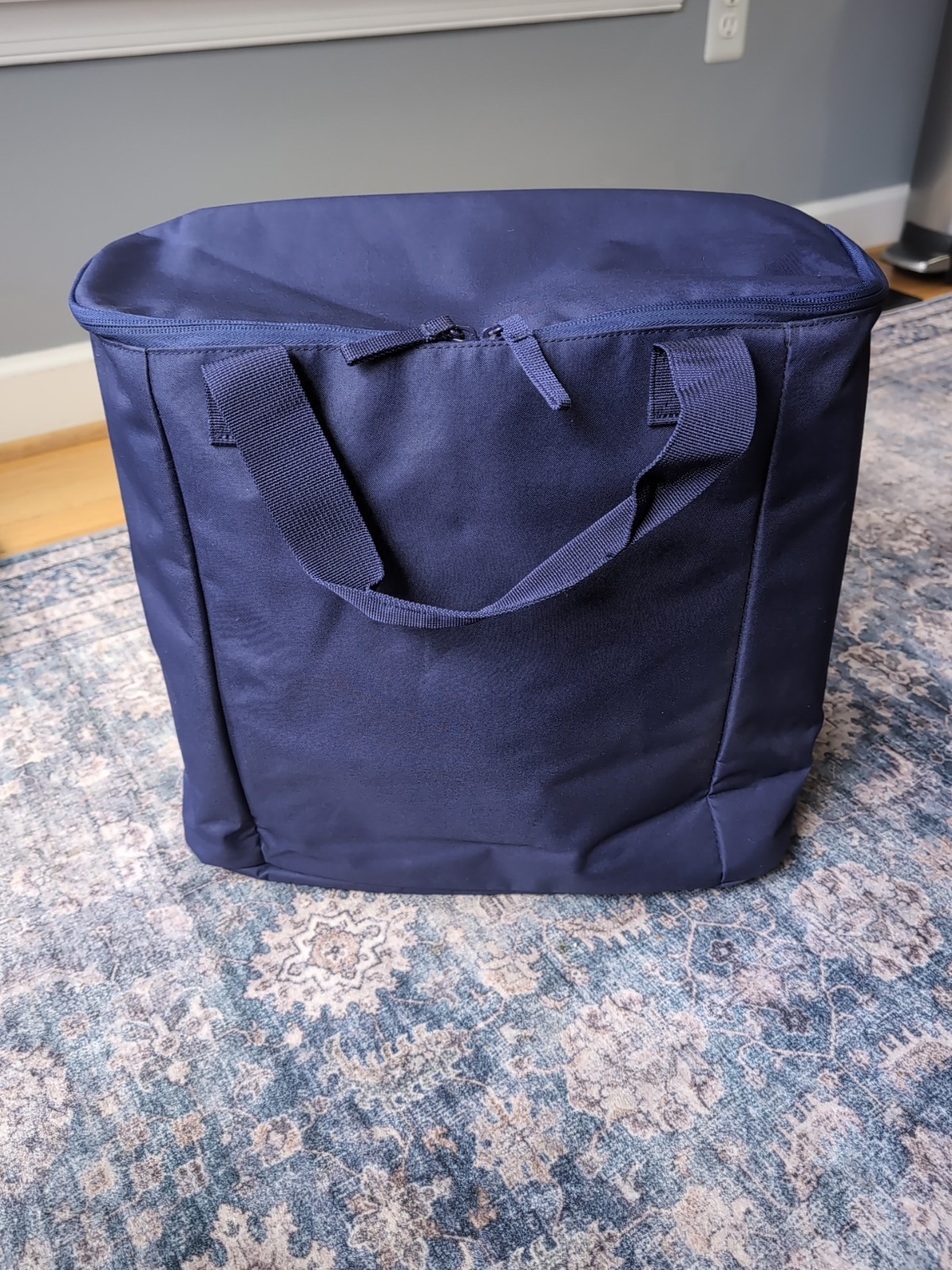 Insulated Bag for Bike with Rack Clips, 15 x 18 x 5 inches
