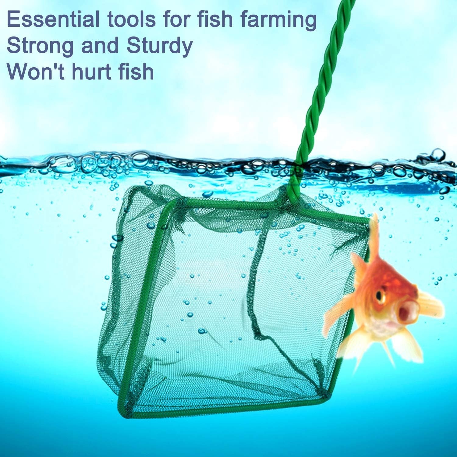 Versatile 2 Count Small Mesh Fish Catch Nets – Perfect for All Aquatic Pets