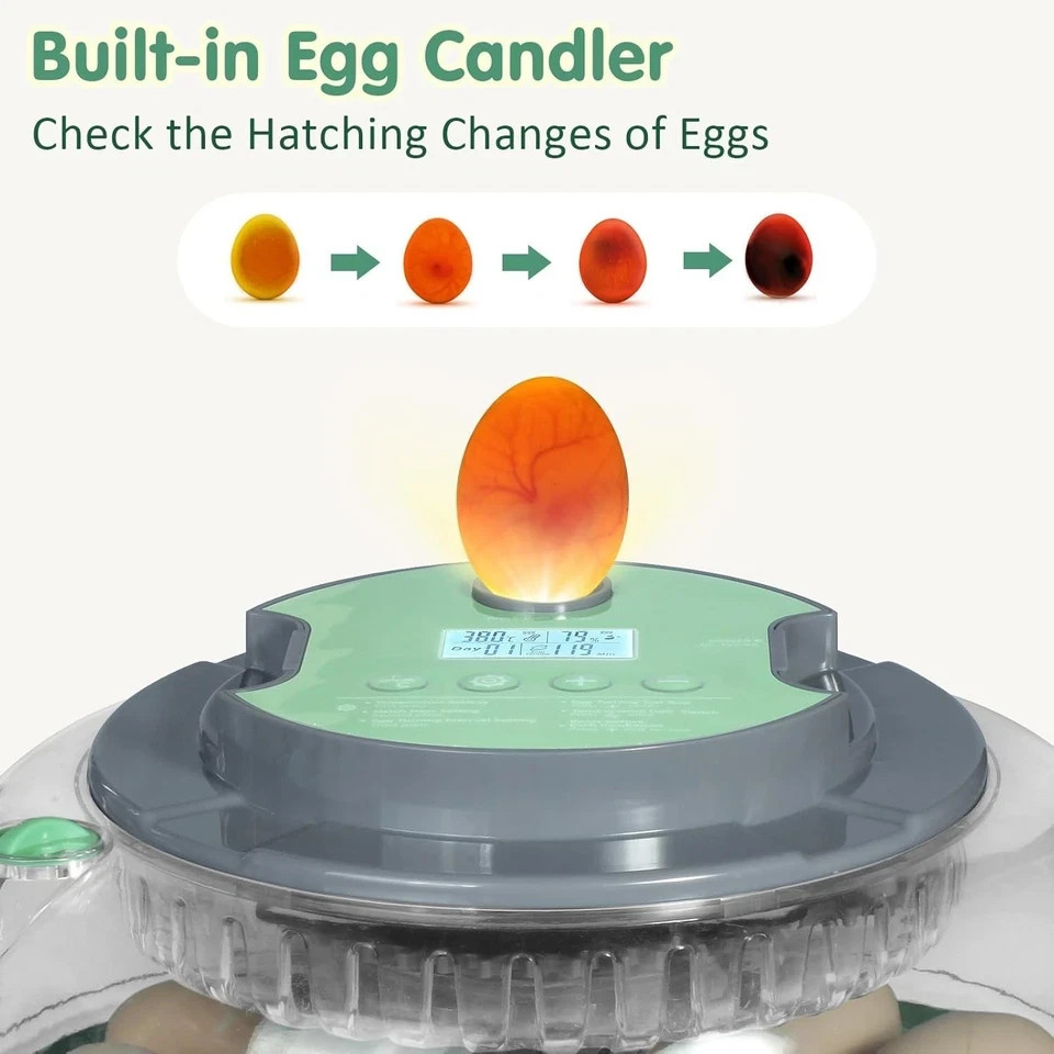 Incubators for Hatching Eggs,18 Egg Incubator with Automatic Egg Turning and ...