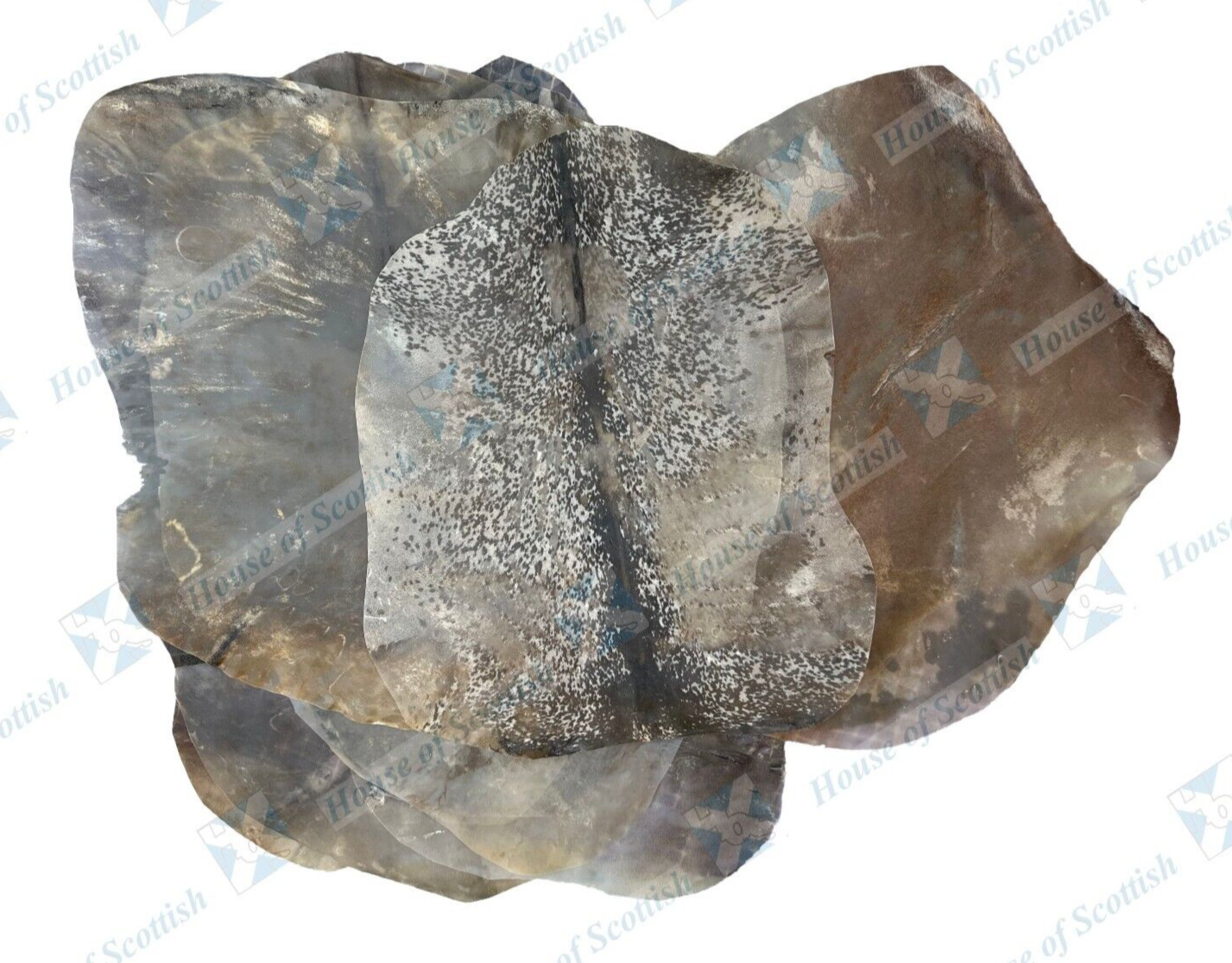 FULL ANIMAL BABY GOAT SKINS NATURAL FINISH FOR DJEMBES, ALL TYPE OF DRUMS