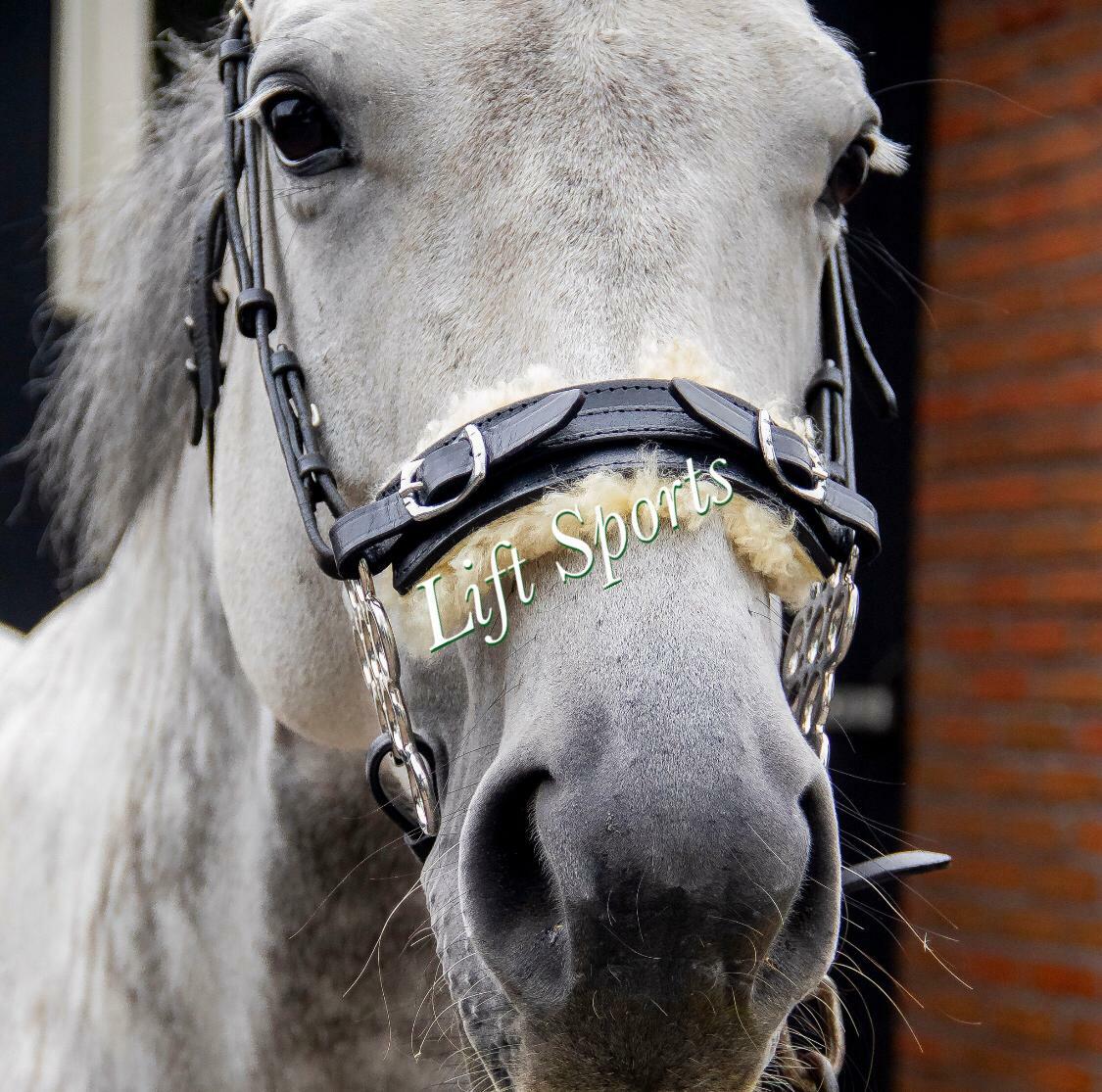 Hackamore Bitless Horse Bit English Western Adjustable Flower Padded Leather