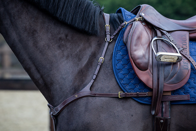 Dion Anatomical Chest Guard (5-Point Type)