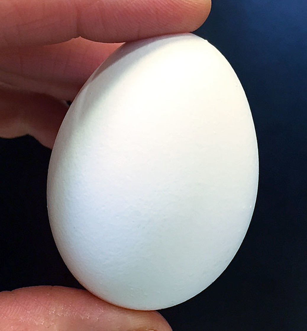 EGGS-ACTLY EGG - TIROFOG (MEDIUM - WITH HOLE) PRO QUALITY