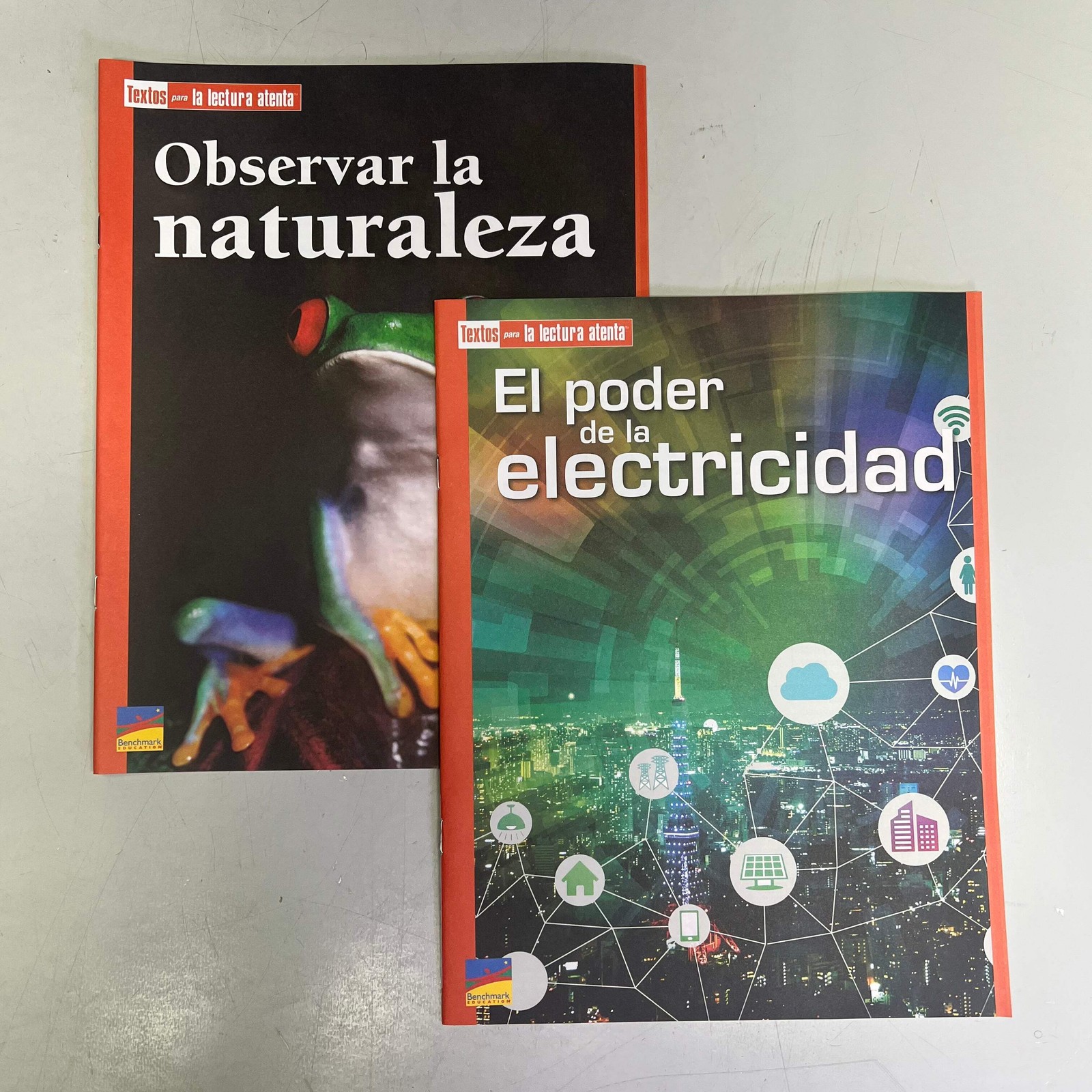 BENCHMARK EDUCATION (10 SET) Multiple Learning Point Books Grade 4 Spanish Editi
