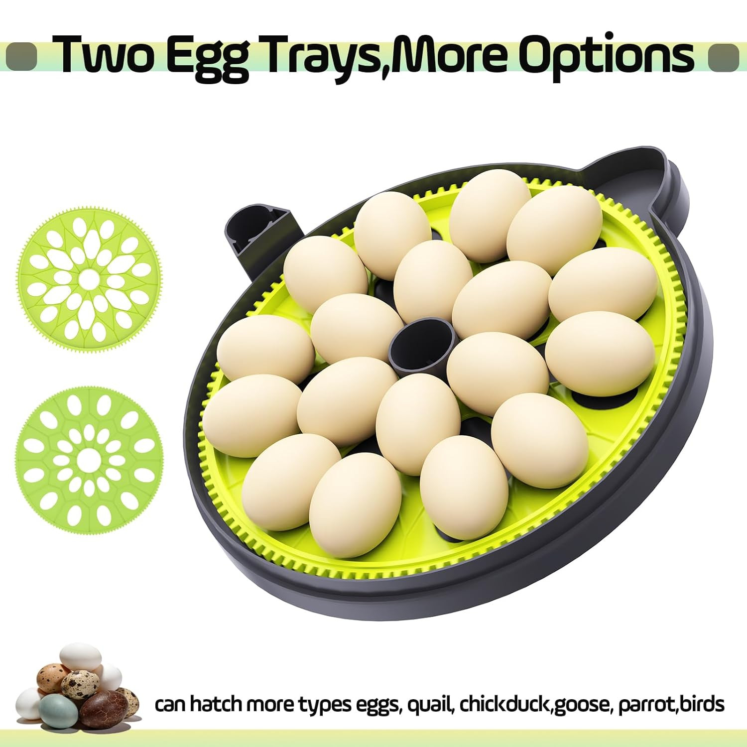 Automatic Egg Incubator for Quail, Chicken, Duck, Goose - 18 Eggs Capacity