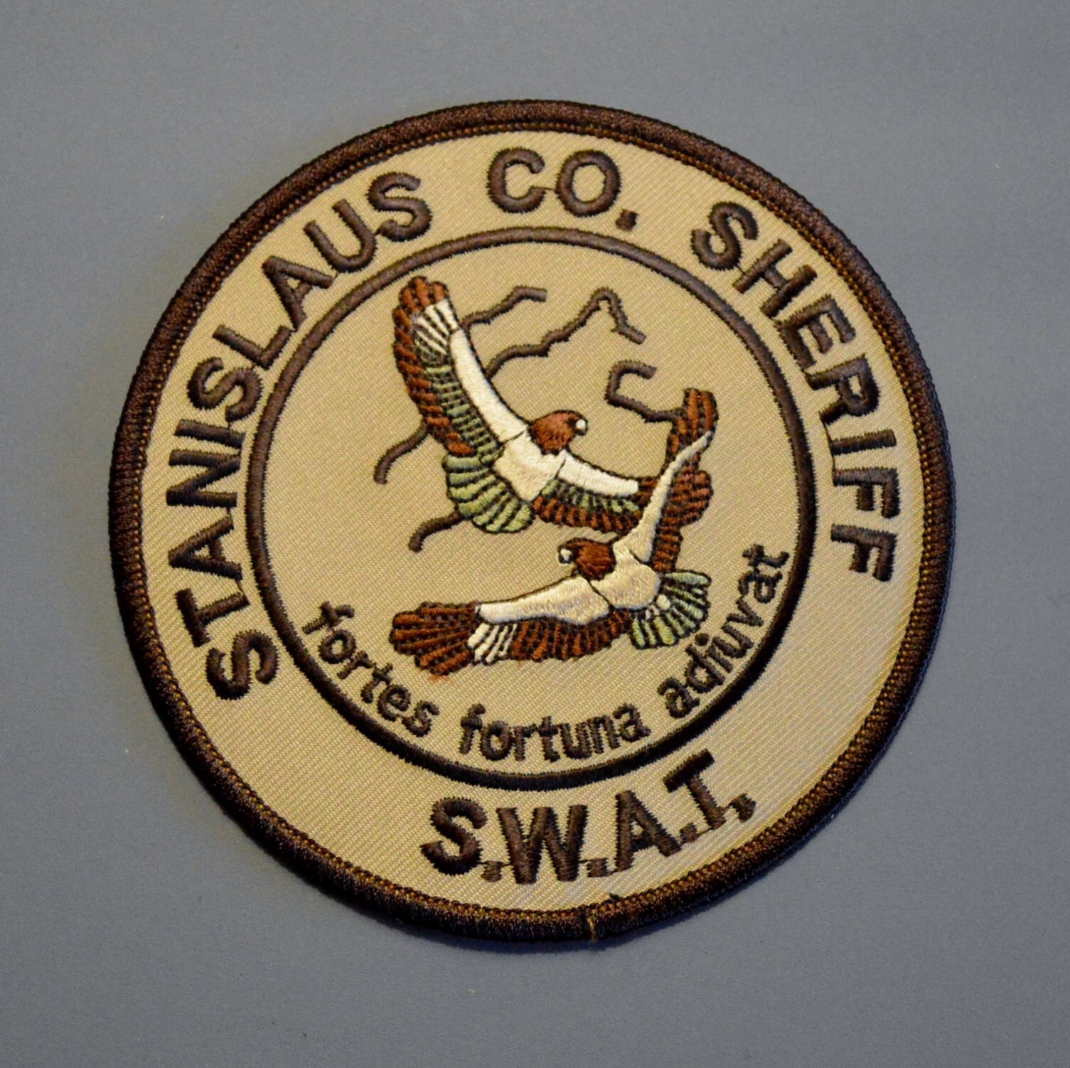 Stanislaus County California Sheriff SWAT Tan Patch ++ Mint CA