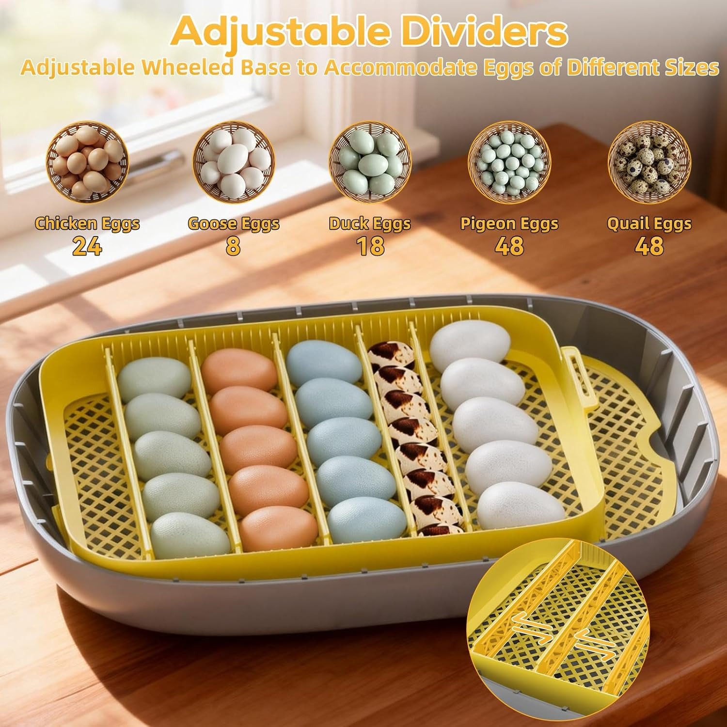 Incubator for Hatching Eggs-24 Egg Capacity, Automatic Egg Turner, Temperature &