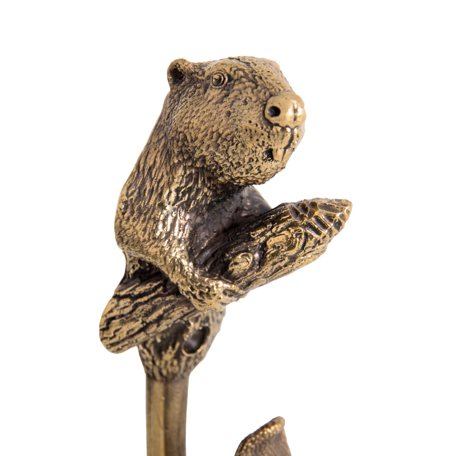 Brass beaver-shaped wall hook, sturdy decorative hook. Wall hooks unique