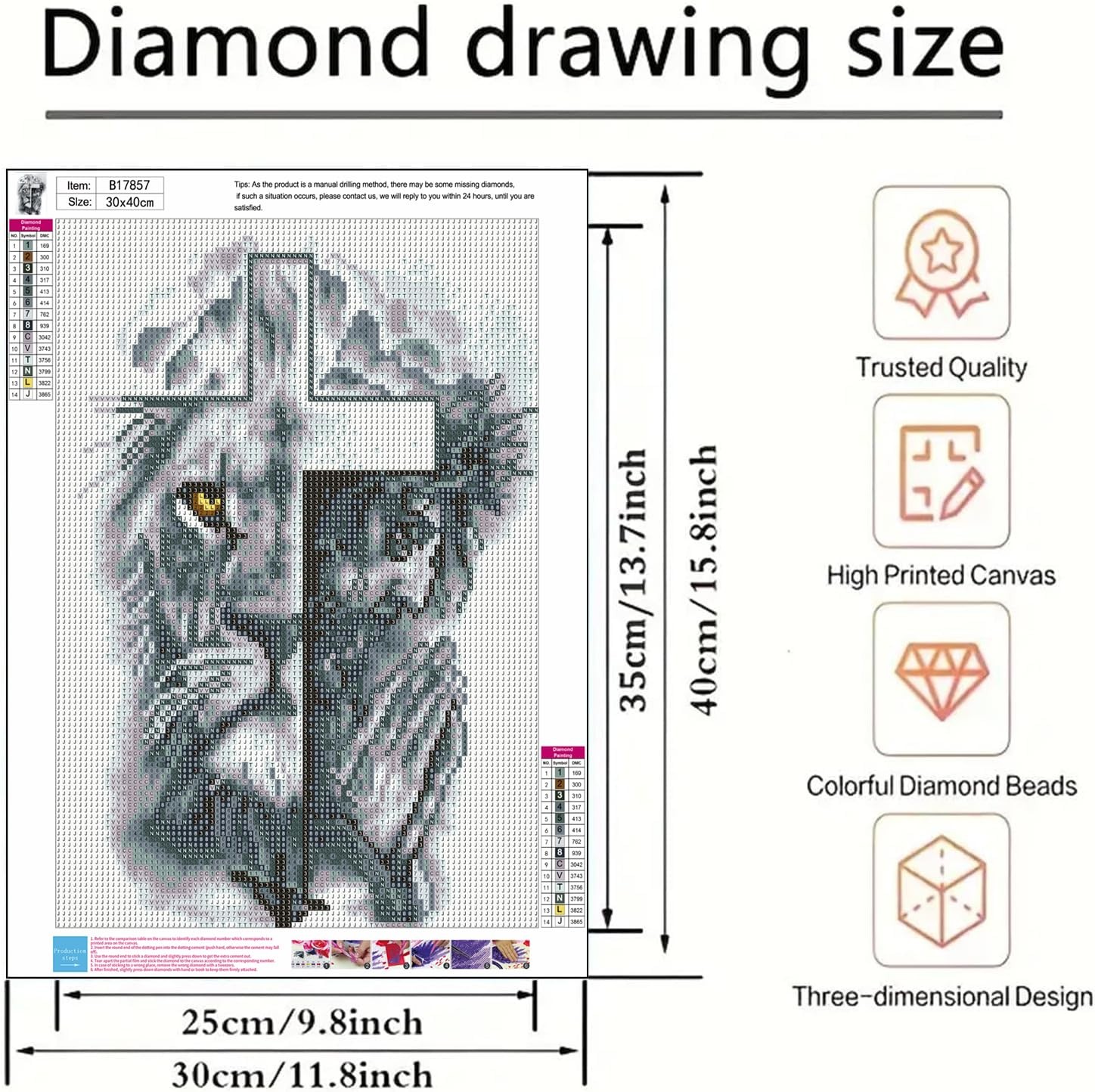 Jesus Christ Diamond Art Kits for Adults,Lion Diamond Painting Kit for Beginner,