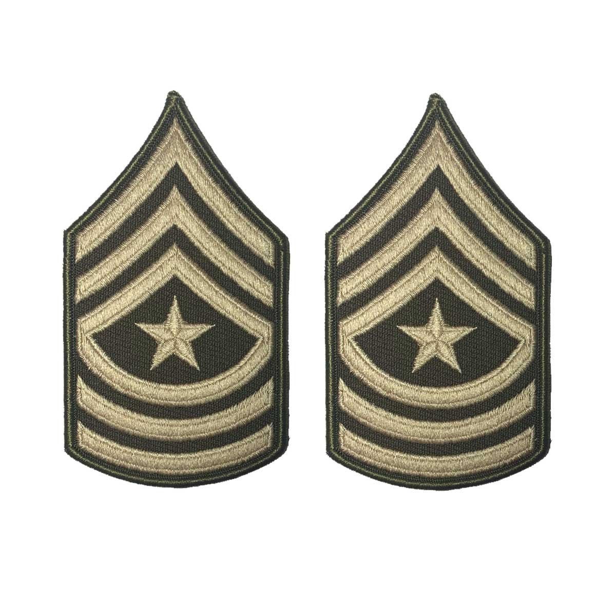 AGSU Sergeant Major Male Enlisted Chevron-Veteran Owned Business