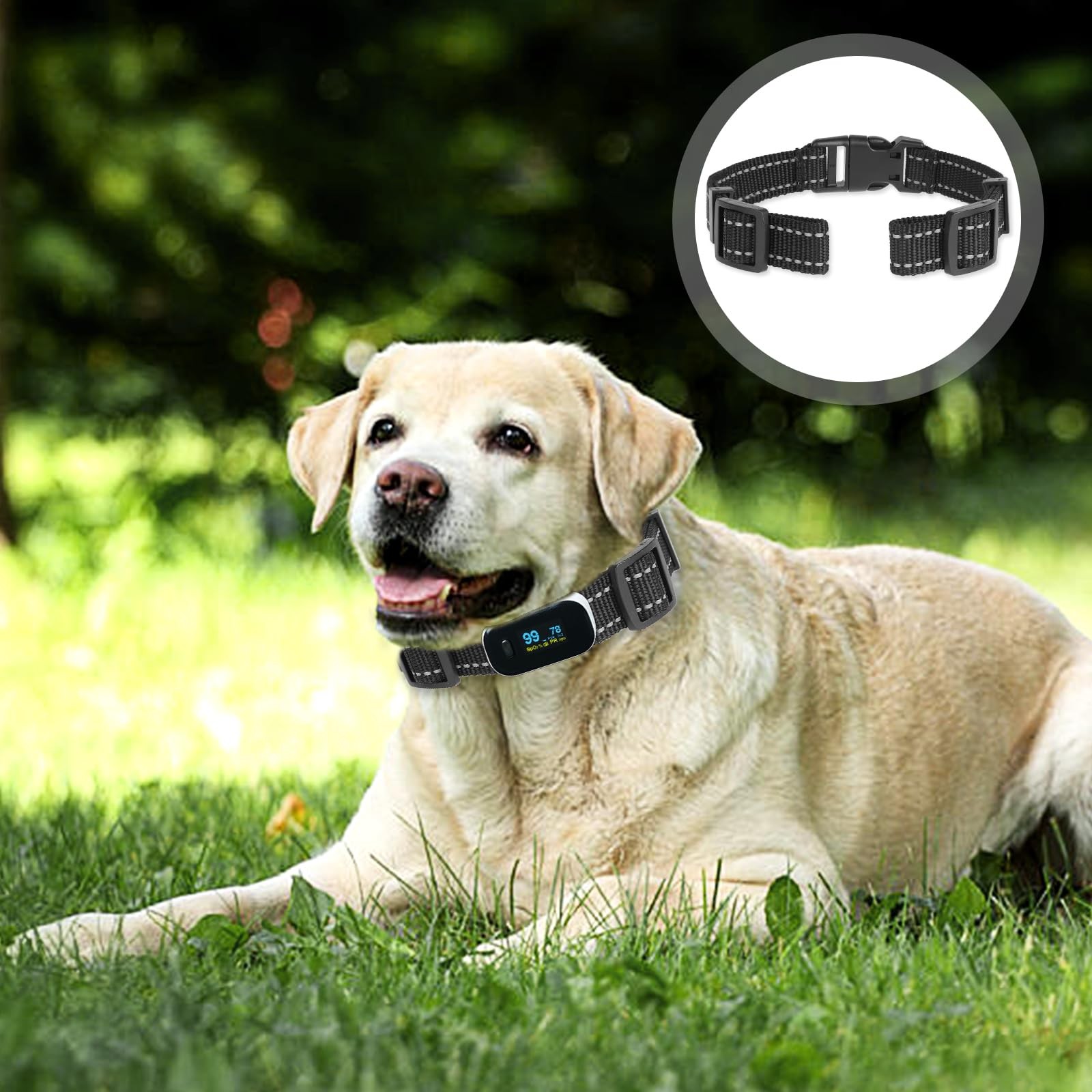 2 Pack Replacement Collar for Dog Training 10 * 8 * 1.7cm, Black