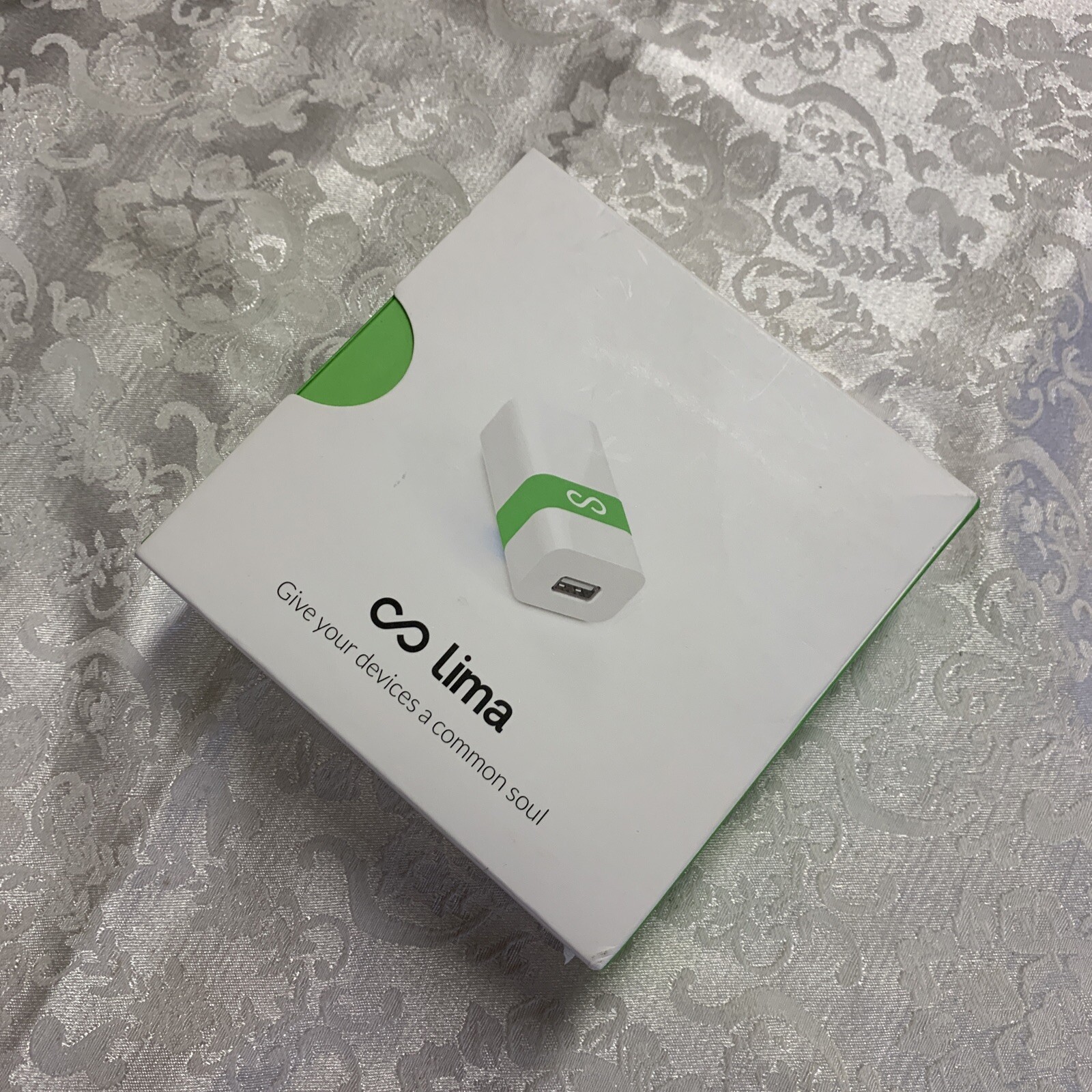 Lima P1-GREN-US Smart Cloud Sharing USB Device Kit w/Earphones