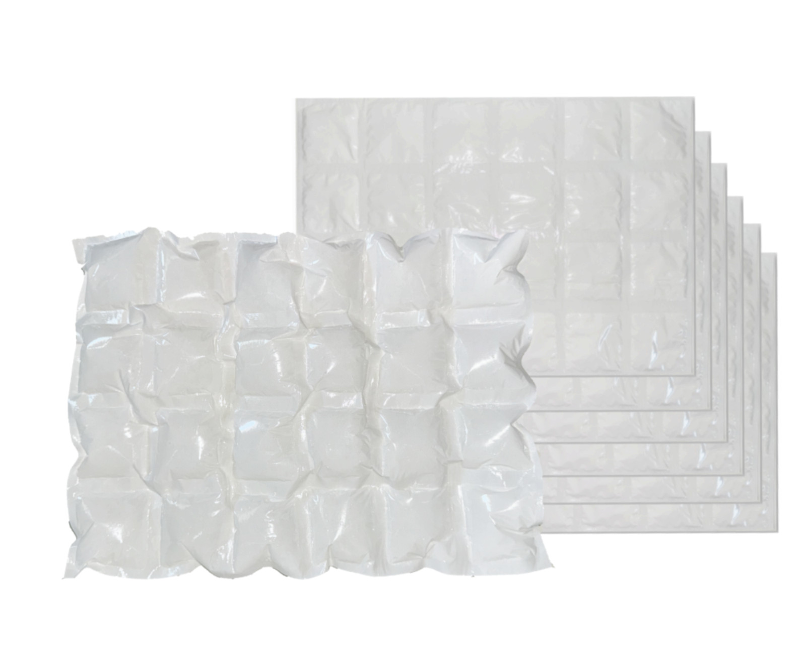 FreshCryo 6 Sheets 4Ply 24Cube Reusable Dry Ice Packs for Outdoor Camping Cooler