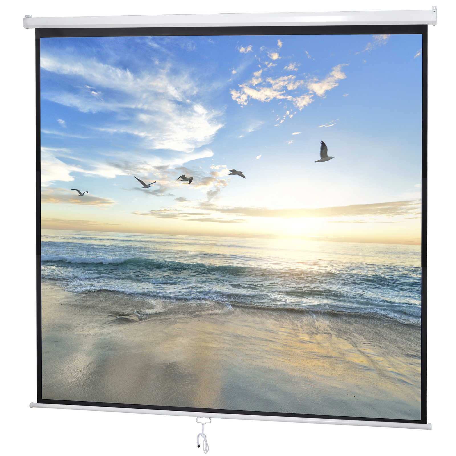 84" X 84"Manual Pull Down Projector Screen Home Theatre Play Game Bedroom
