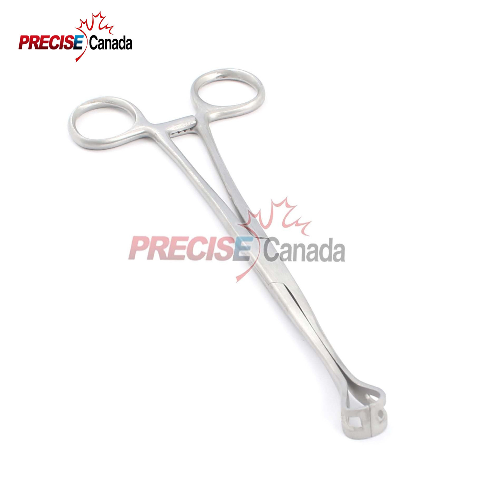 BABCOCK FORCEPS 8" SURGICAL INSTRUMENT STAINLESS STEEL