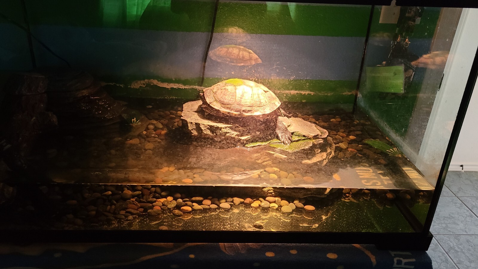 **Sold**