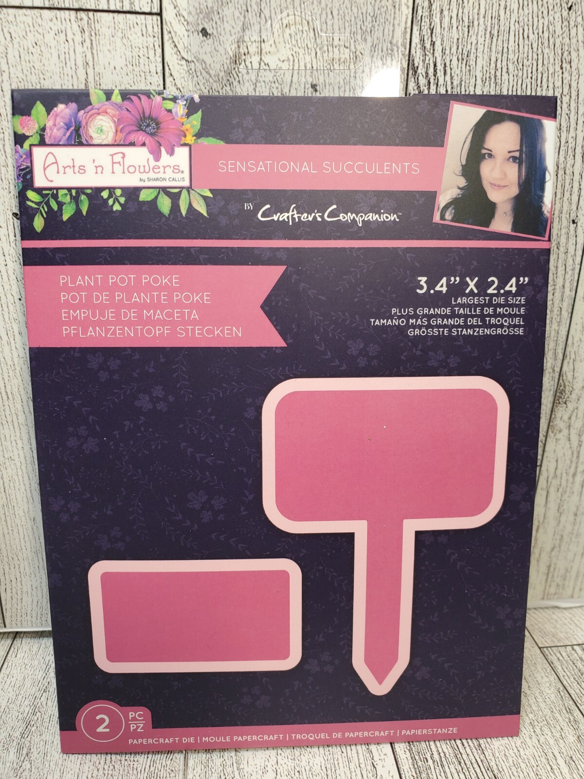 CC2 Crafters Companion Sharon Callis Sensational Succulents Plant Pot Poke die
