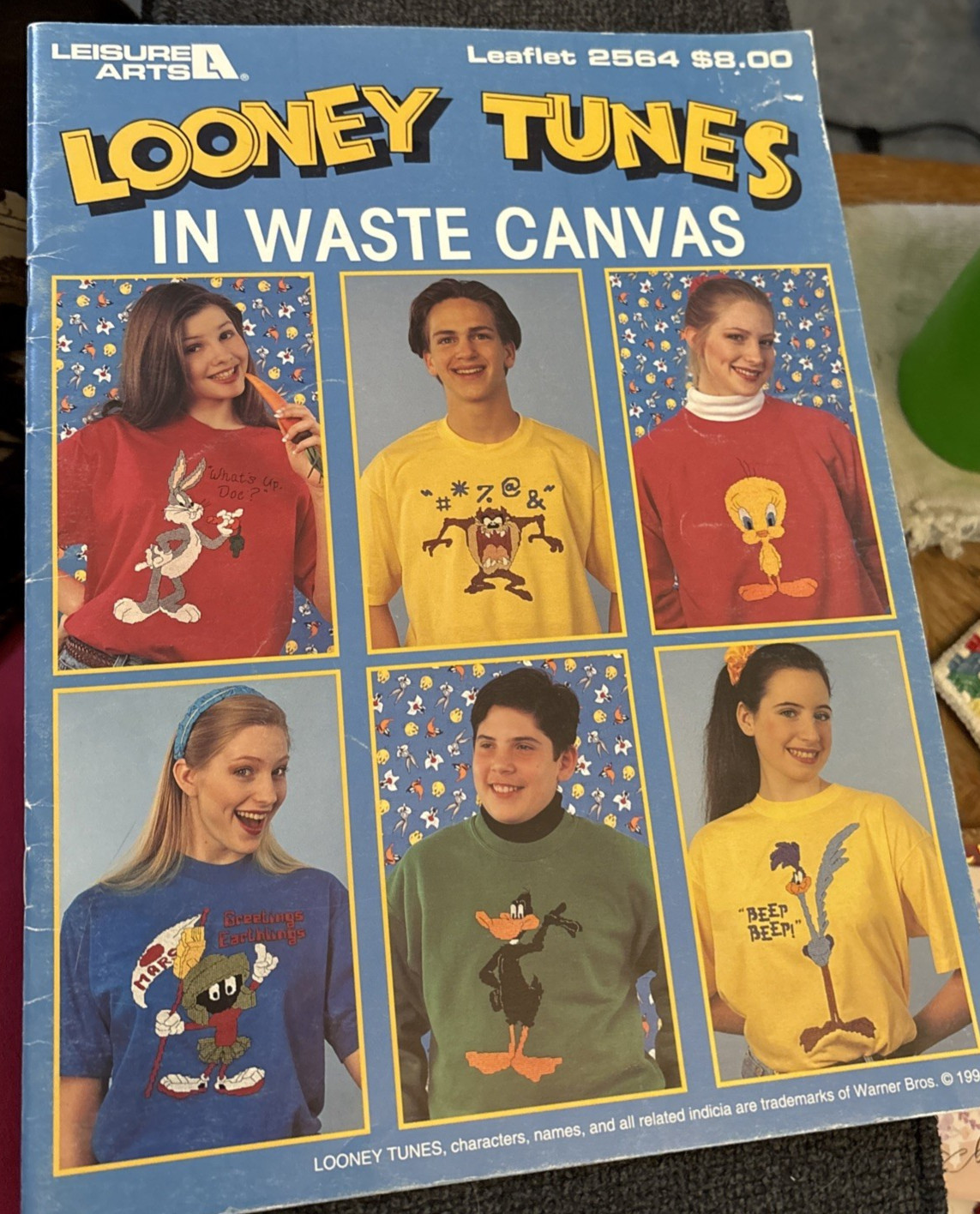 Vtg Rare Leisure Arts LOONEY TUNES in Waste Canvas 1994 Leaflet #2564