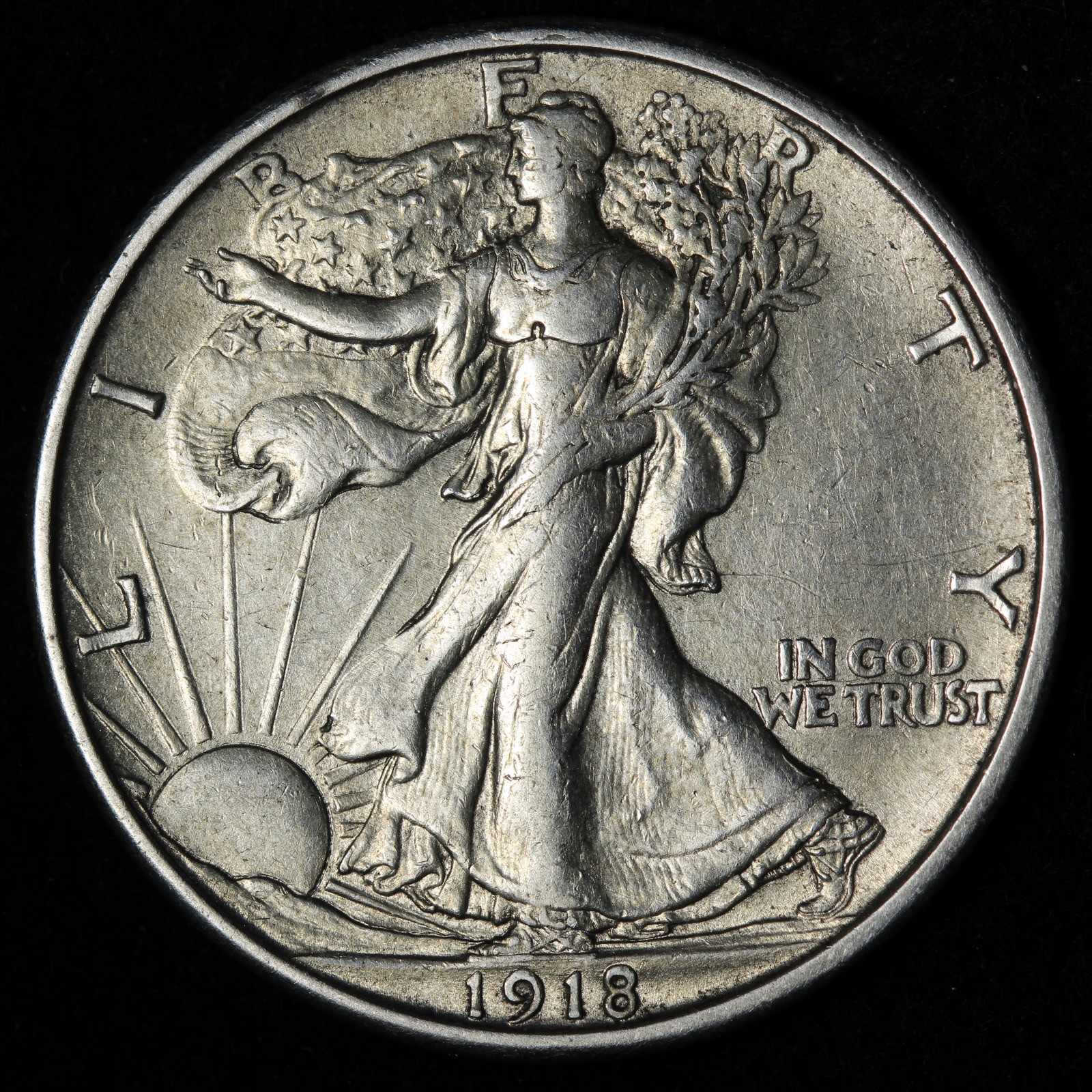1918-S Walking Liberty Silver Half Dollar AU+ E366 GUCMK