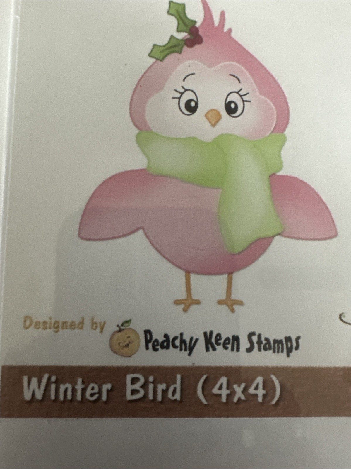 Cottage Cuts Winter Bird Die and Face Image Stamps Set of 2