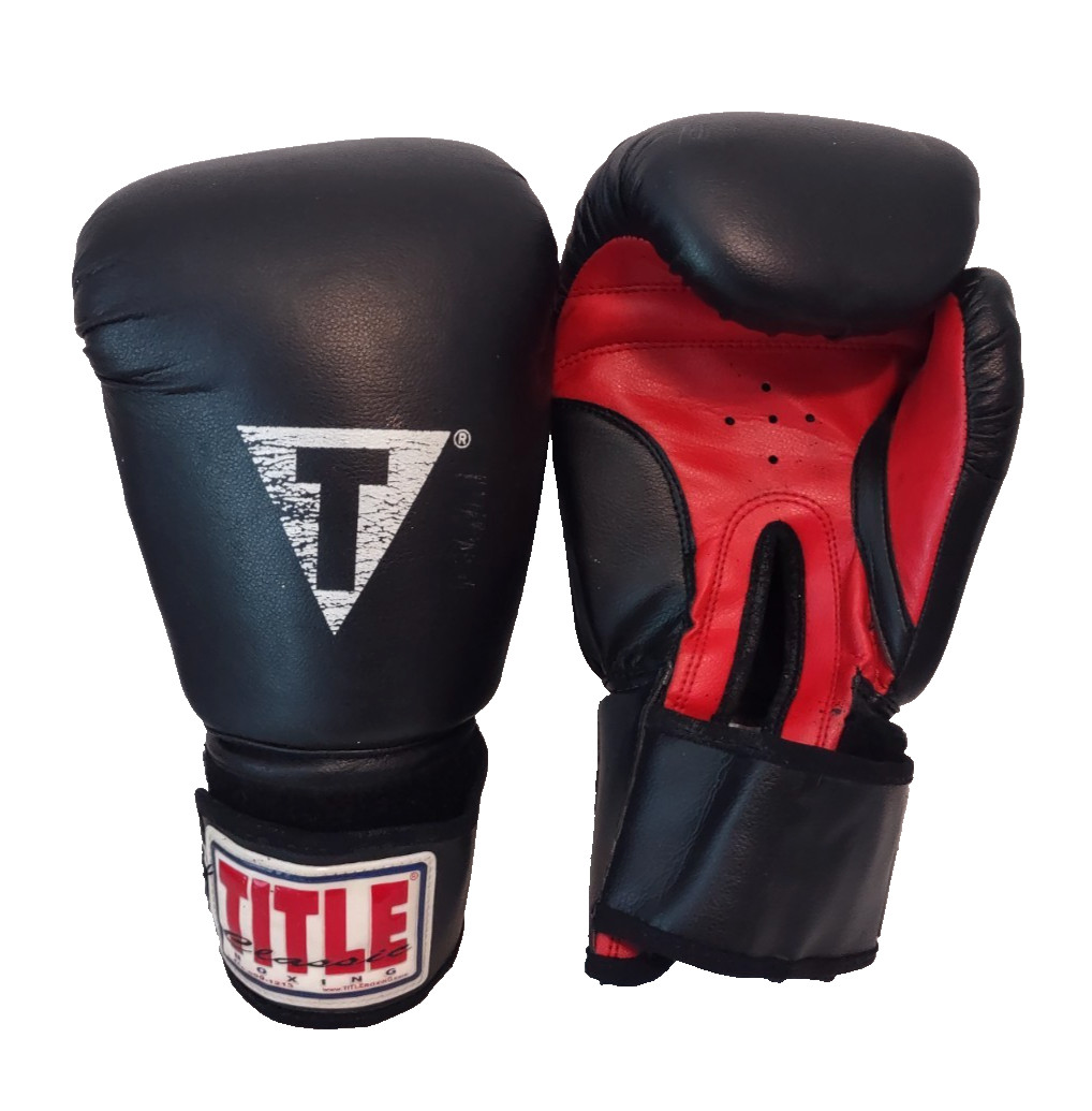 Title Classic Boxing gloves 18 Martial Arts Kickboxing Beginners Pre-Curved