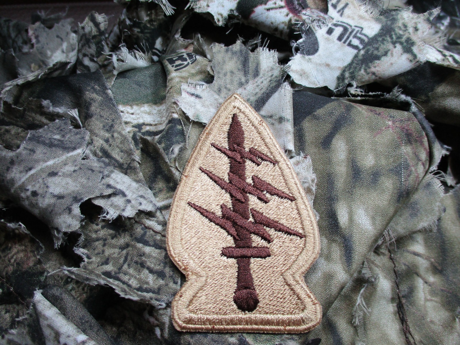 Special Forces Patch