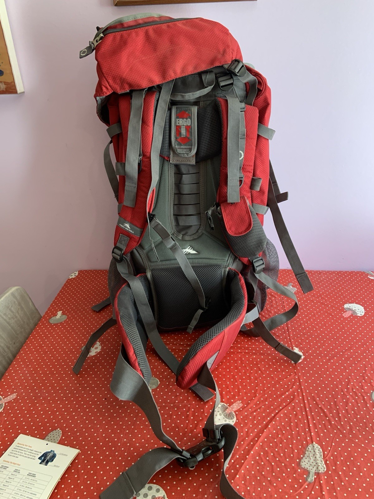 Angry Orchard High Sierra 55l Backpack Never Used Original Tags Very Nice!