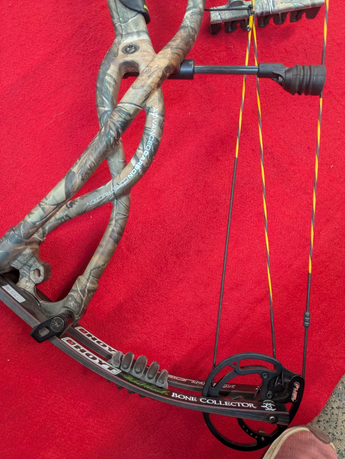 Hoyt Carbon Matrix Compound Bow