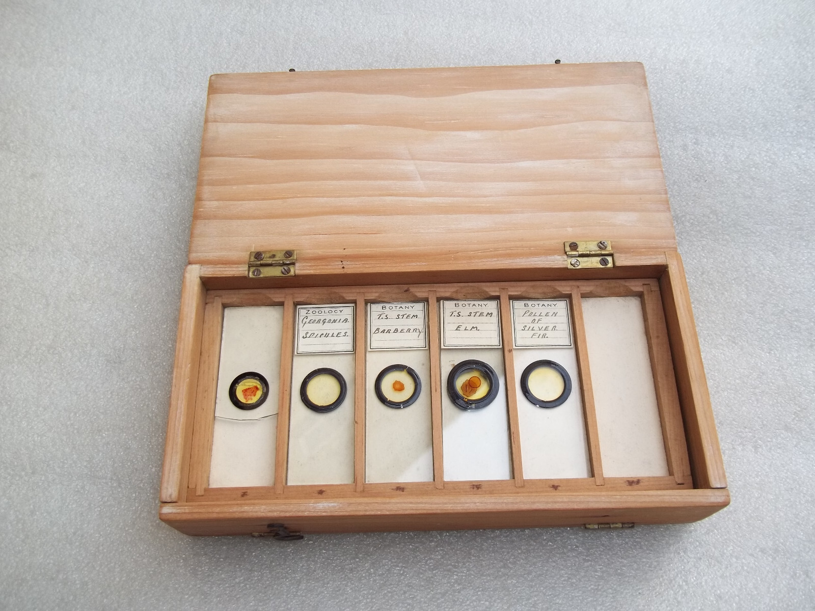 Vintage Glass Microscope Slides