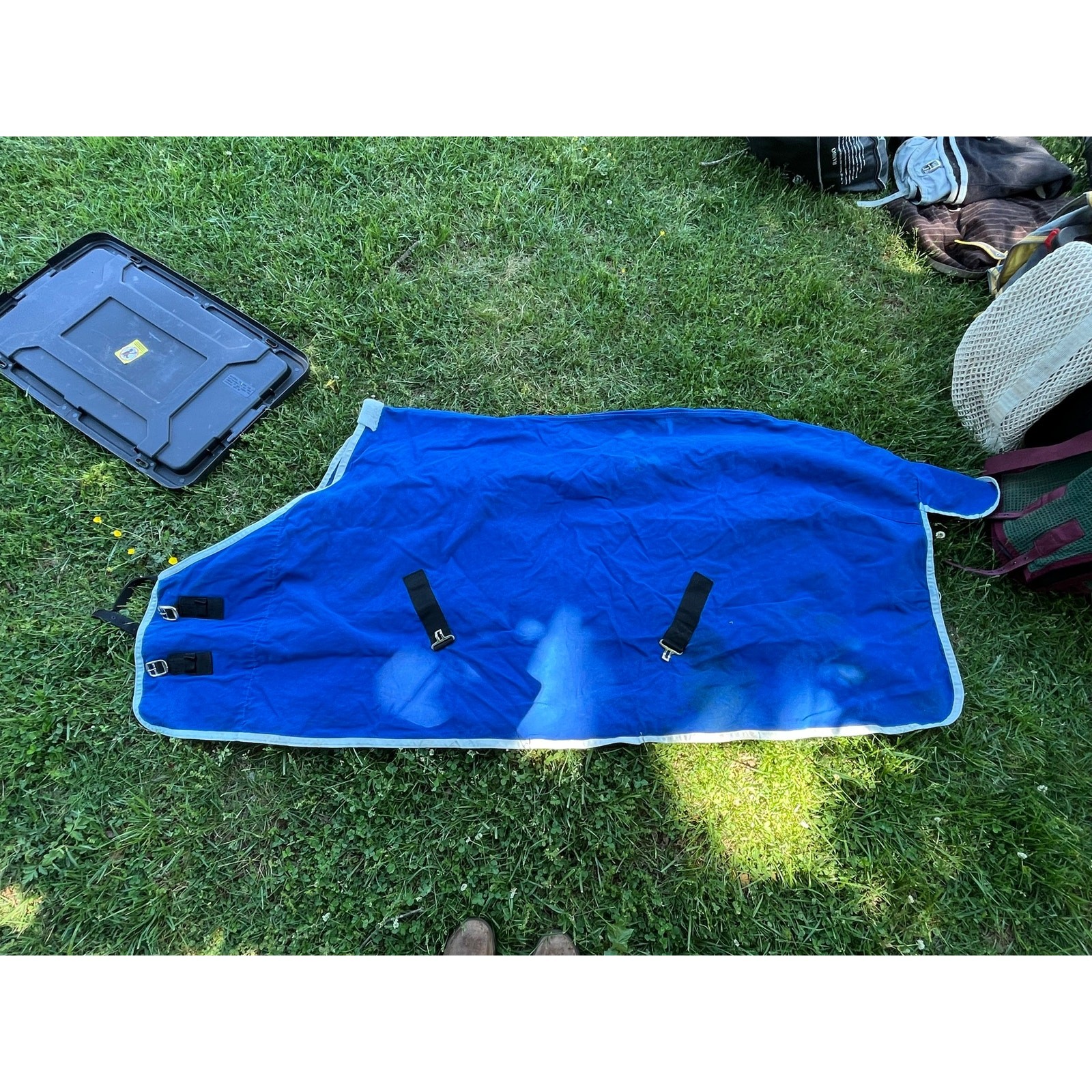 Blue Horse Stable Sheet size 78”