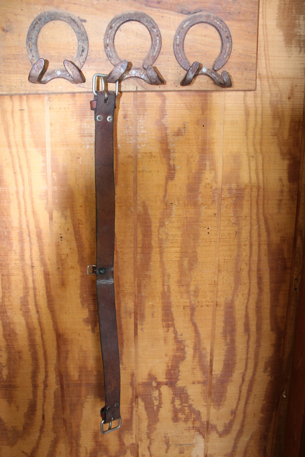 Rear Cinch 34