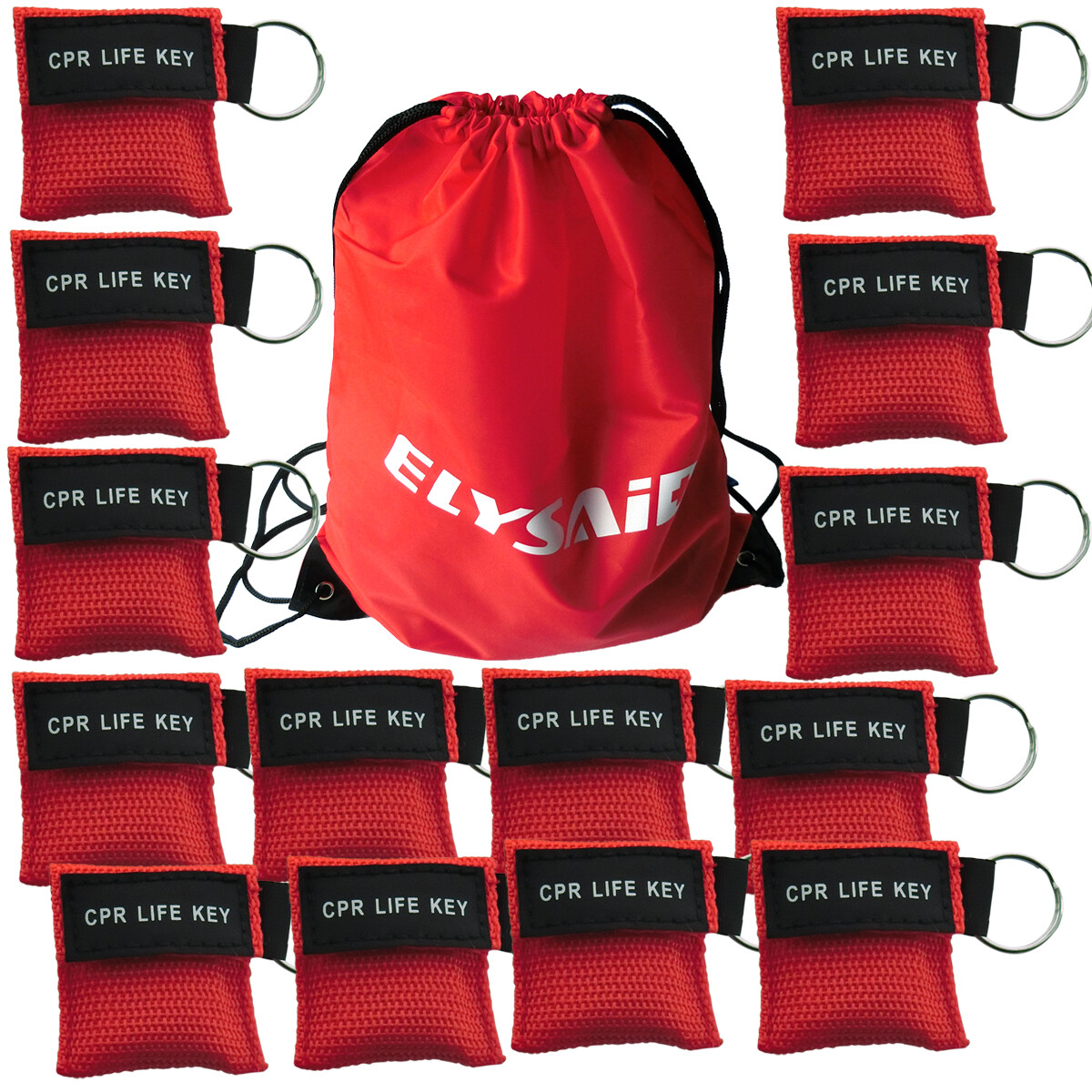 100X Label Nylon Keychain Pouch CPR Face shield Transparent Training Mask Bags