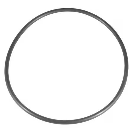 Dayton Pp21102060001g Cover O-Ring